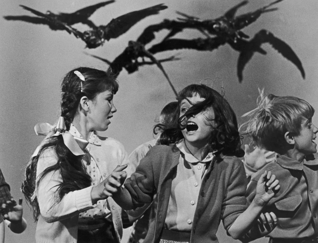 Is the Birds (1963) Based on a True Story?